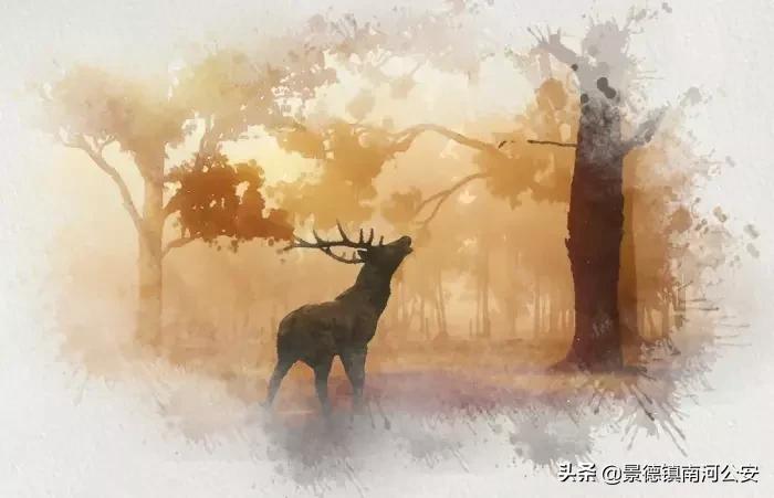 最美的五言绝句短到极致美到心碎,50句意境绝美诗词