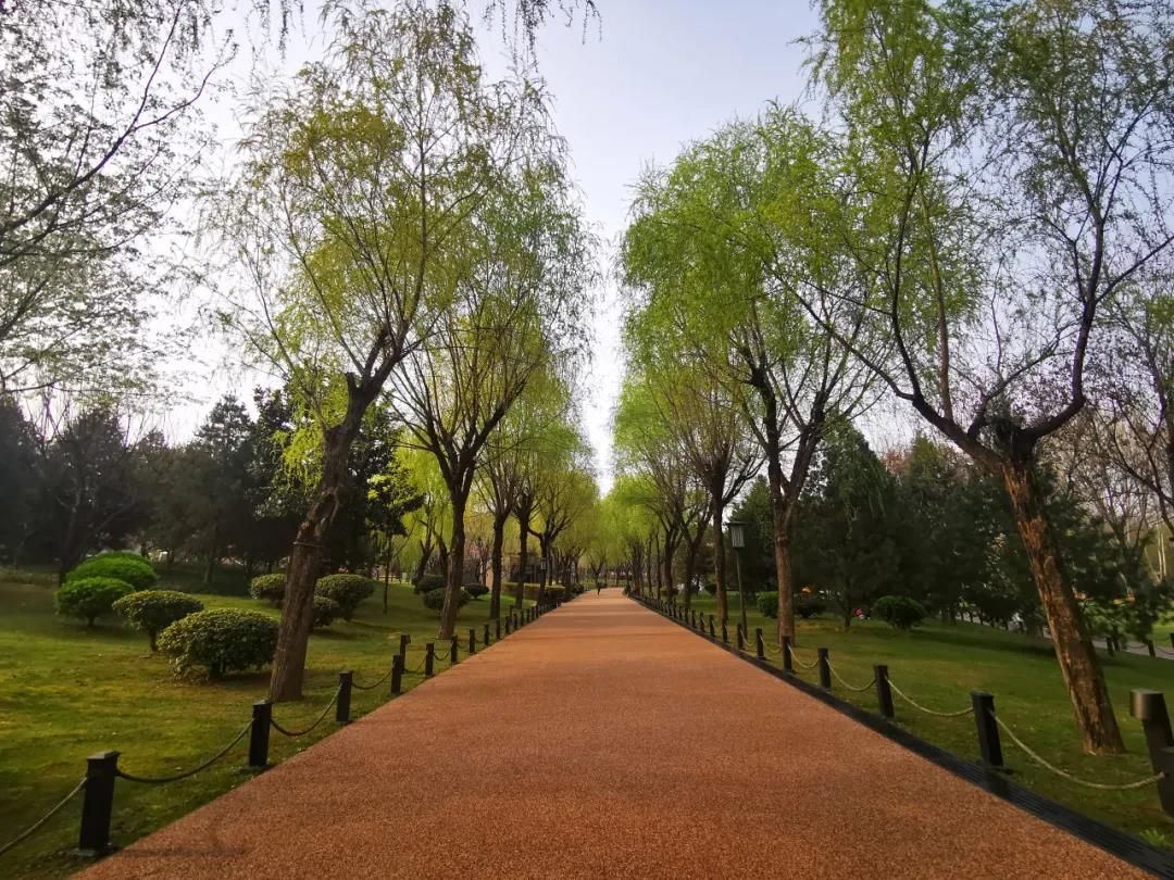 马拉松城市？原来西安有这么多跑步胜地！