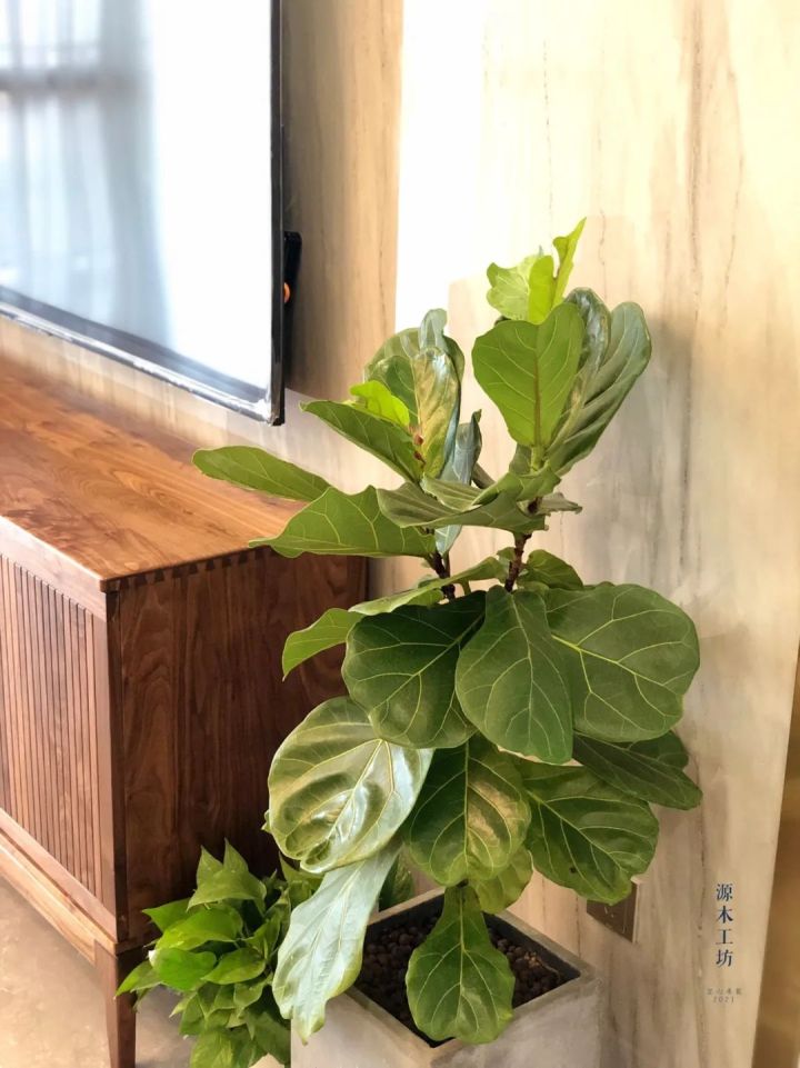 没有对比就没伤害去专柜看看,没有对比就没有伤害家具