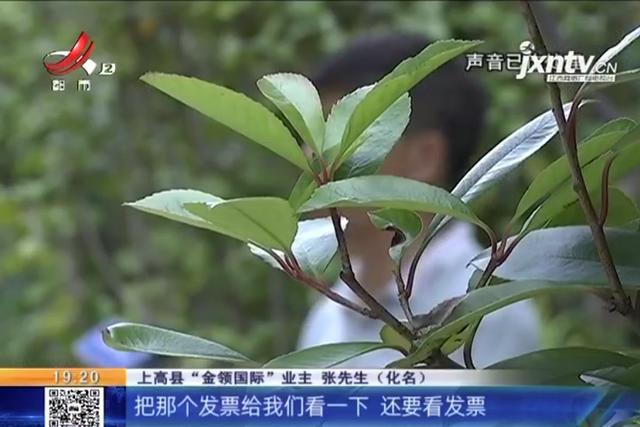 金领国际小区产权,上高金领国际四期迟迟未交房