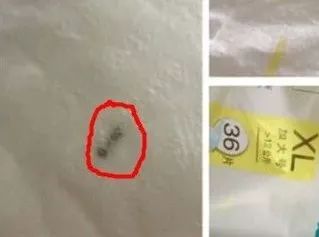 买纸尿裤怕踩雷?宝妈带娃分享会教你练成火眼金睛