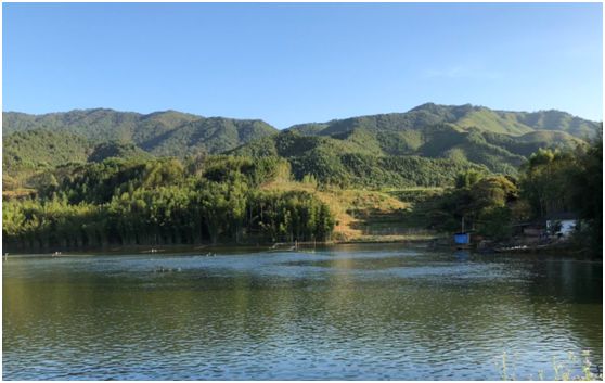 翁源东华地窖酒,韶关翁源赏荞麦花