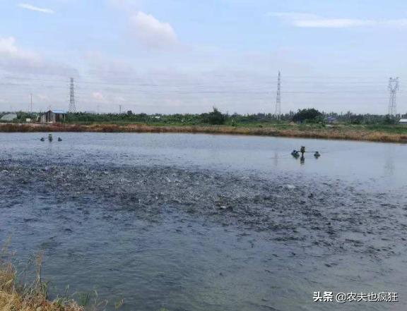 <html>
<head><title>502BadGateway</title></head>
<body>
<center><h1>502BadGateway</h1></center>
<hr><center>nginx</center>
</body>
</html>
<!--apaddingtodisableMSIEandChromefriendlyerrorpage-->
<!--apaddingtodisableMSIEandChromefriendlyerrorpage-->
<!--apaddingtodisableMSIEandChromefriendlyerrorpage-->
<!--apaddingtodisableMSIEandChromefriendlyerrorpage-->
<!--apaddingtodisableMSIEandChromefriendlyerrorpage-->
<!--apaddingtodisableMSIEandChromefriendlyerrorpage-->
