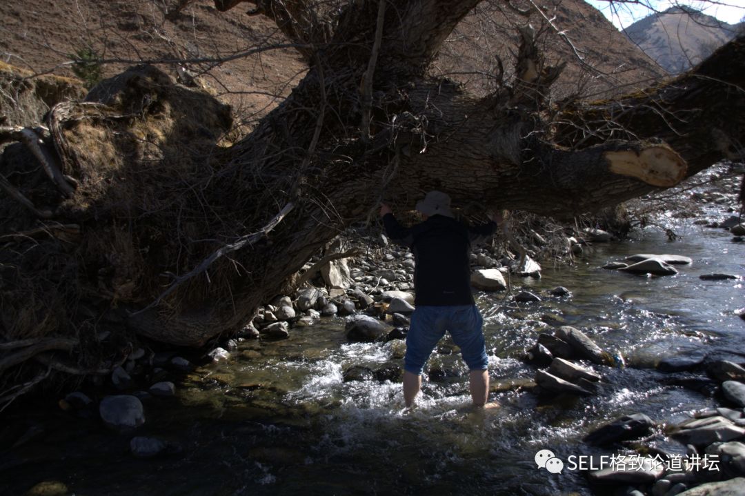 科学家如何观察植物,鸟类的研究方法