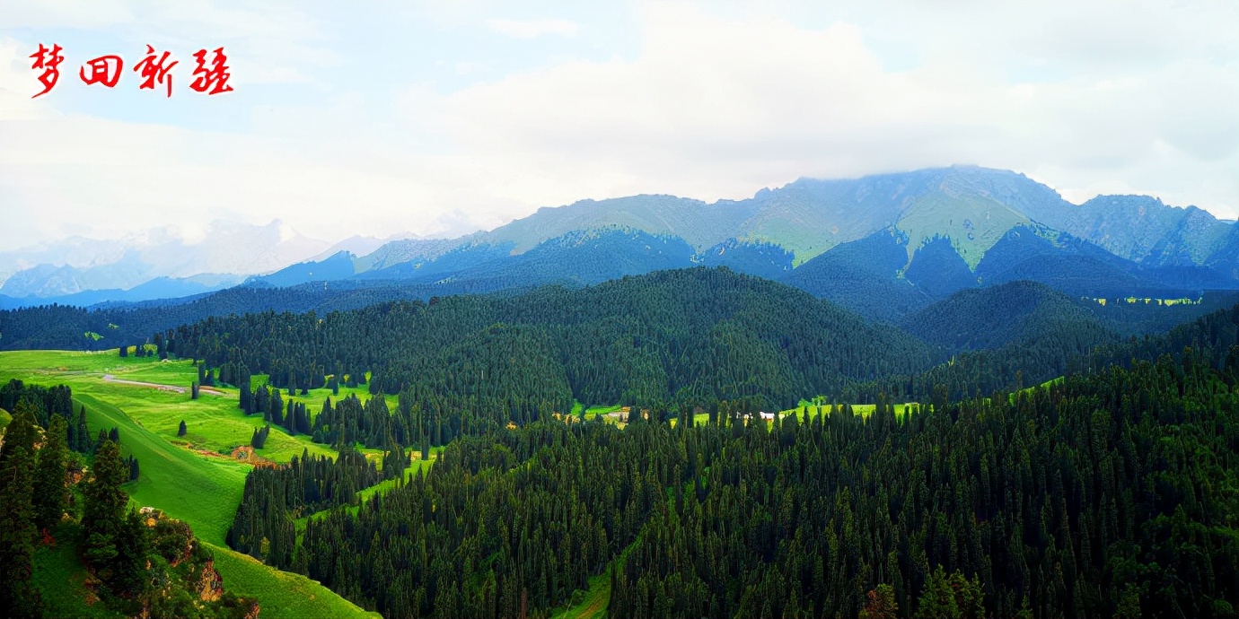 梦回新疆梦回拉萨,梦回伊宁草原视频