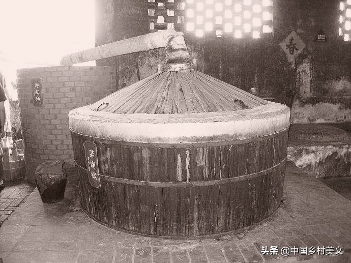 鎴戝拰鎴戠殑鐖惰緢,鎴戠殑绁栫埗鐢熷钩