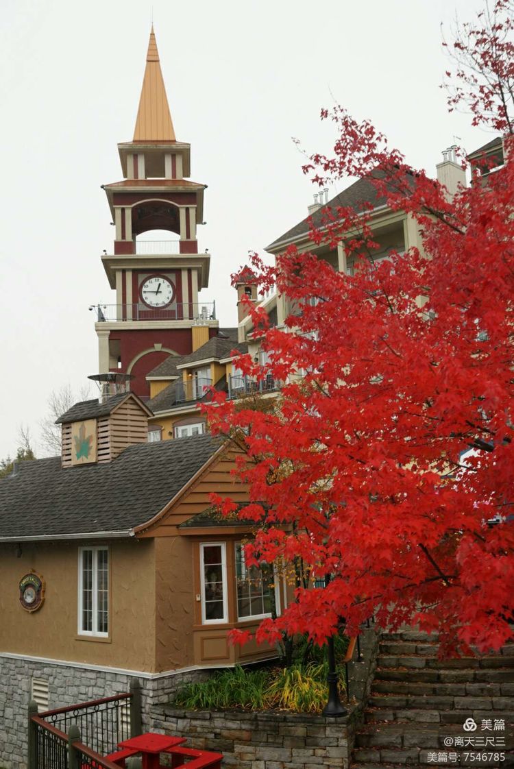 鍖楃編鏋儏閽荤煶姗℃湪,鍖楃編鏋儏鐏攨