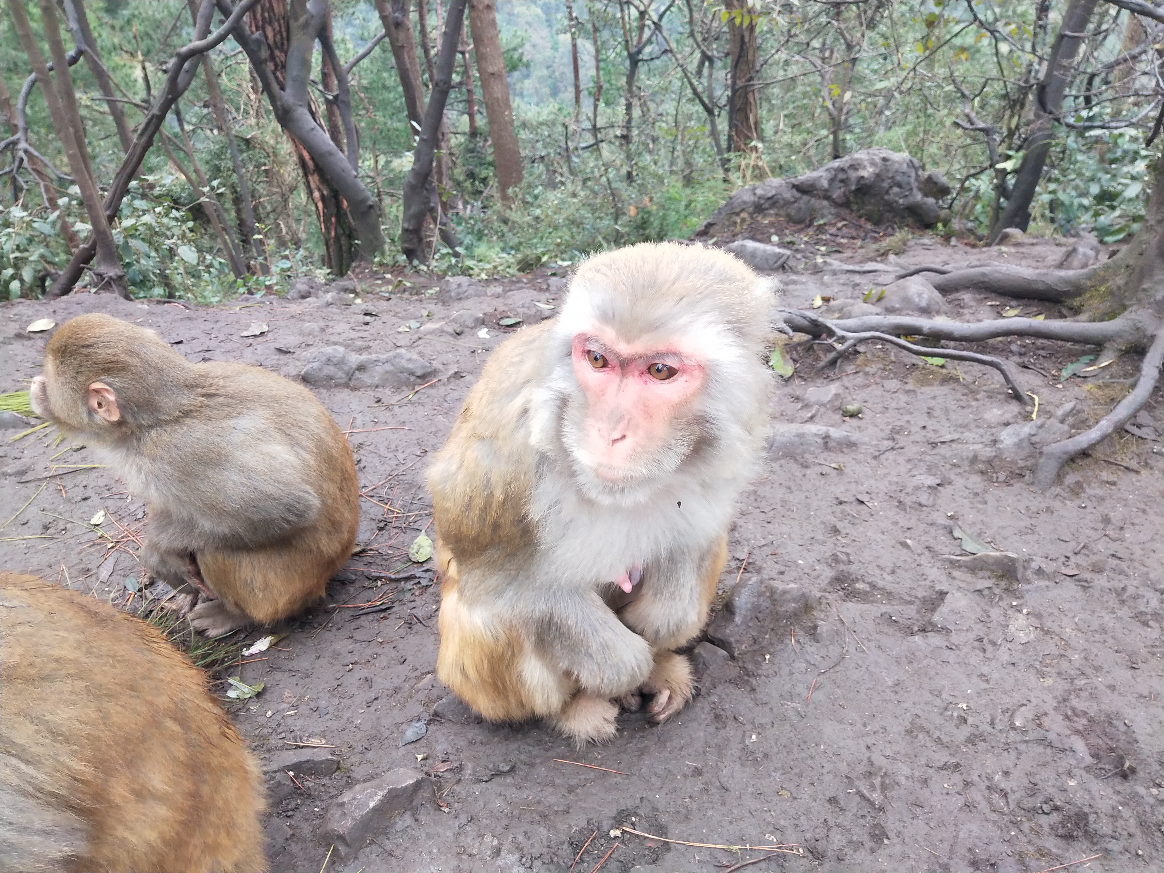 微游贵阳:深度玩透黔灵公园之自然风景