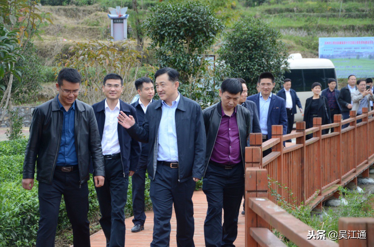 千里相望，梵净山下这一年