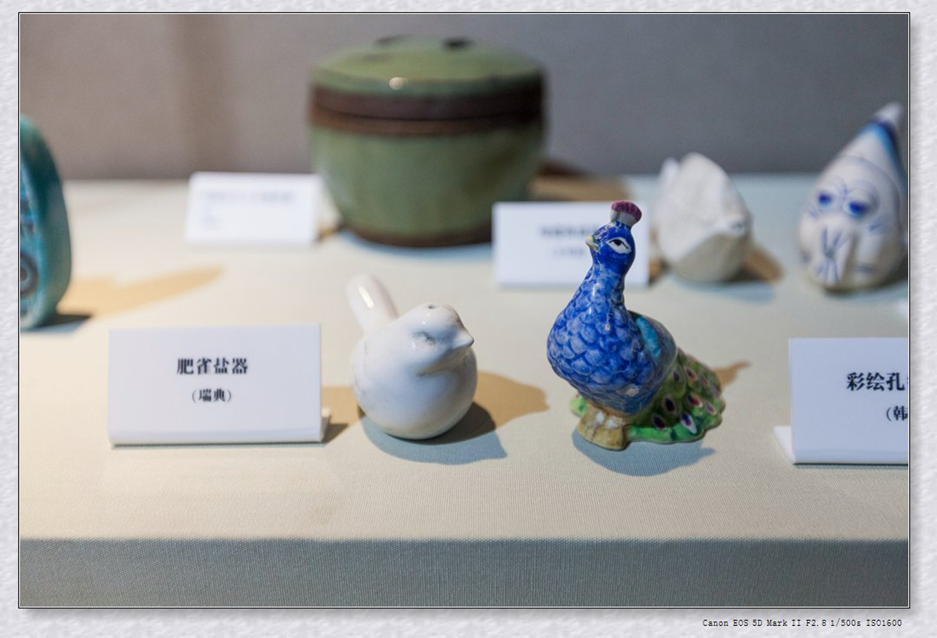 常州旅游东方盐湖城,骆驼之旅视频