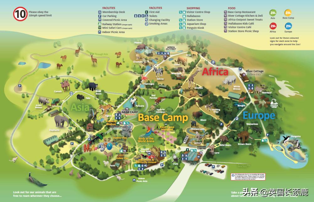 全球十大最受欢迎的野生动物园,伦敦十大动物园