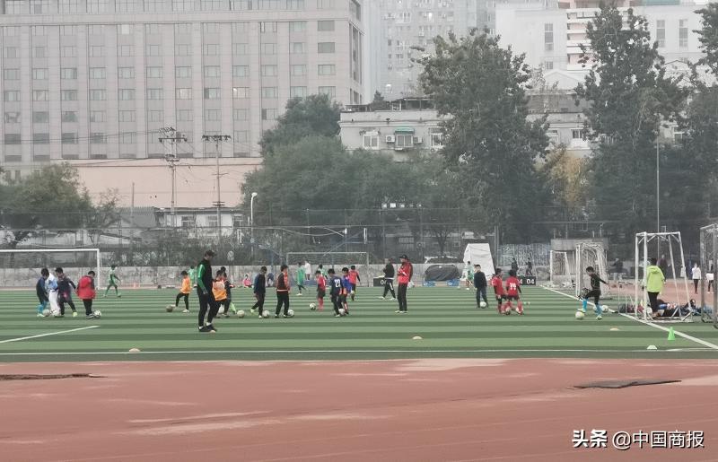 “双减”后体育培训热度大涨，有学生一周上三节校外课花费超千元