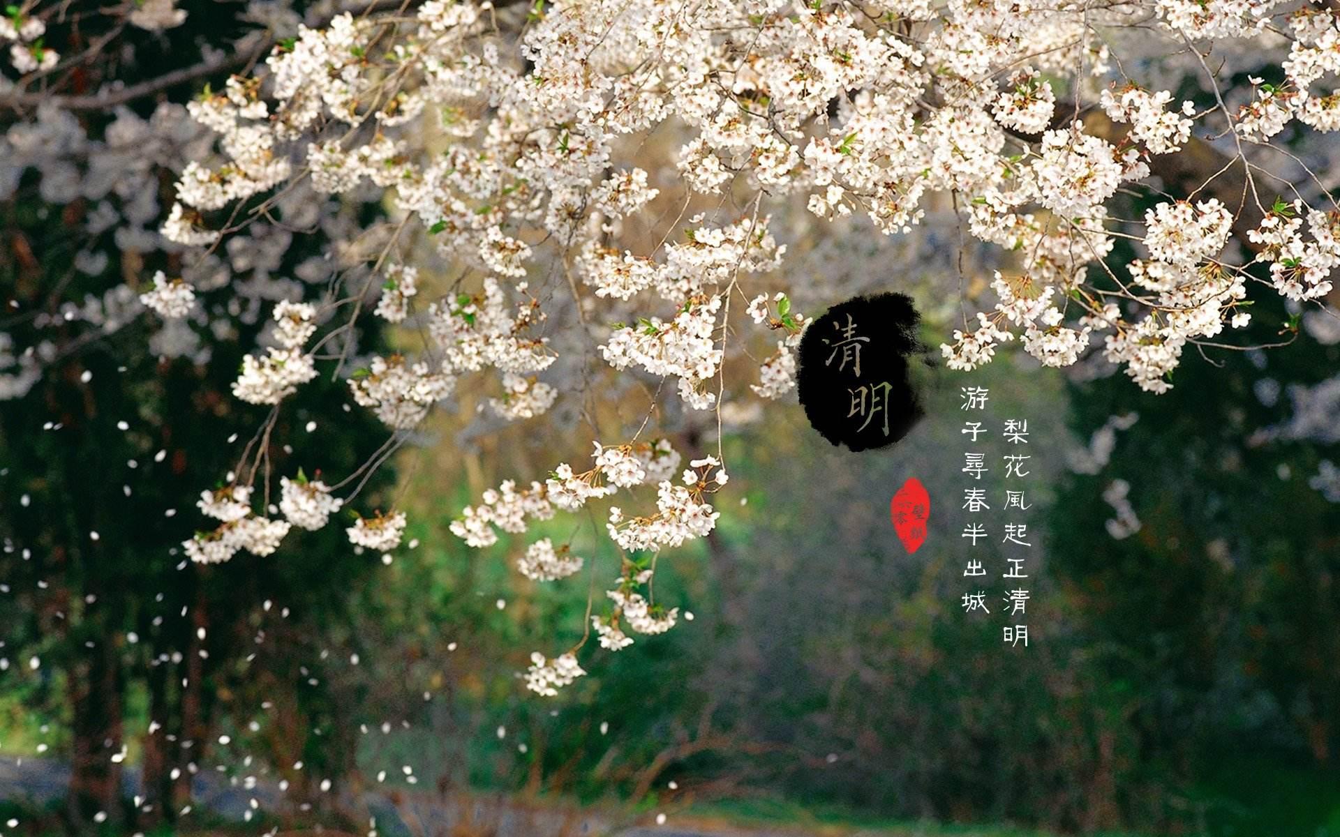 杜牧牧童遥指杏花村在哪,牧童遥指杏花村是哪一首诗