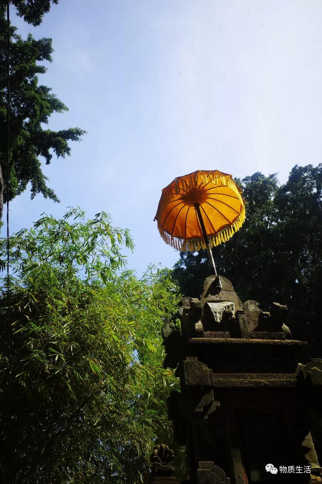 巴厘岛四季如夏吗,阳光明媚的巴厘岛