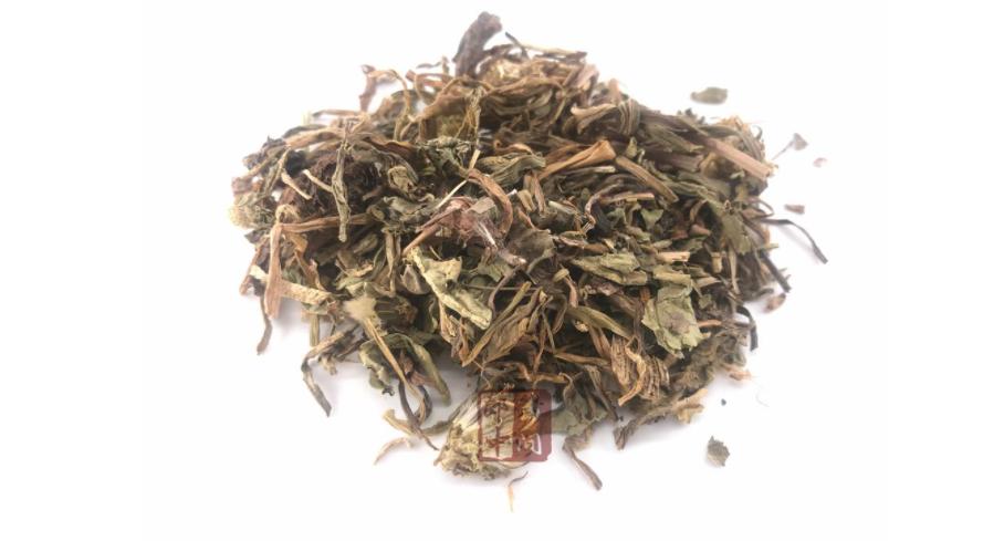 蒲公英48小时杀癌细胞,蒲公英可在48小时杀死98%的癌细胞