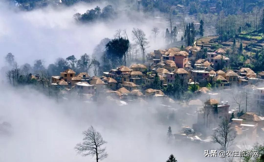 有历史文化气息的老院子,老院子美到骨子里