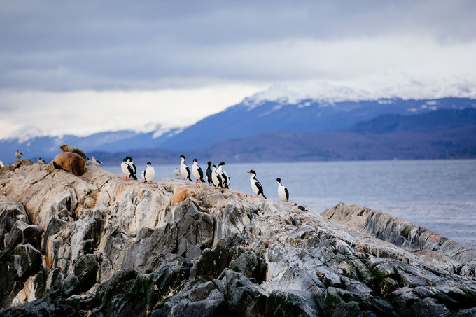 跟着电影游埃及,黎耀辉不如我们从头来过电影台词