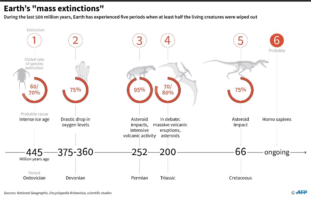 翼龙被拍到的真实视频,美国人抓了一只翼龙