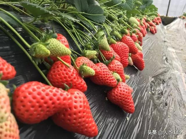 黄岛村落抬头村,黄岛村庄系列