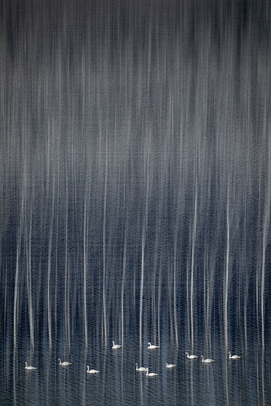 生态摄影师相机,生态摄影著名摄影家