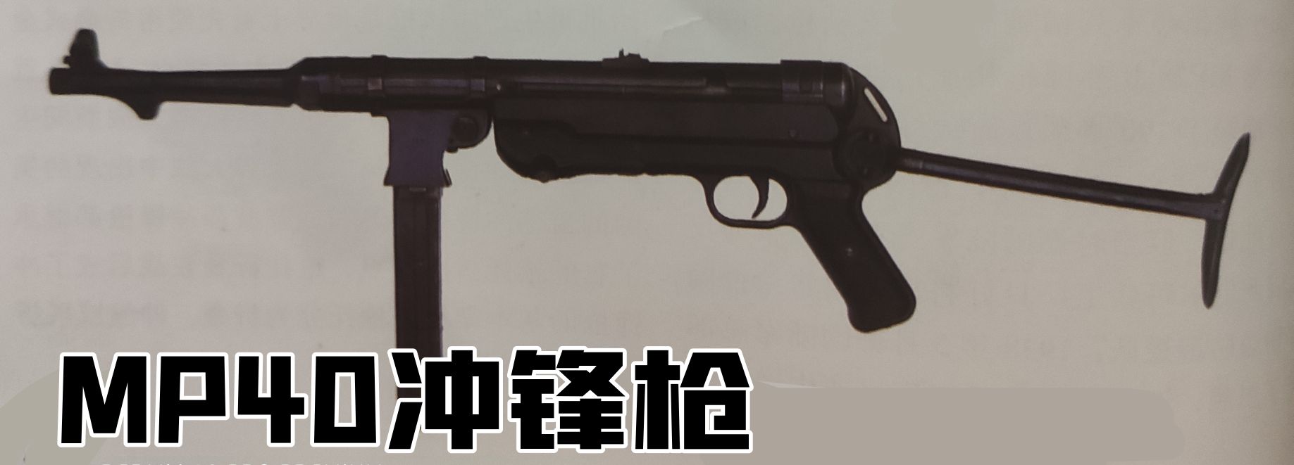 英国枪史图册全篇,德国枪图片