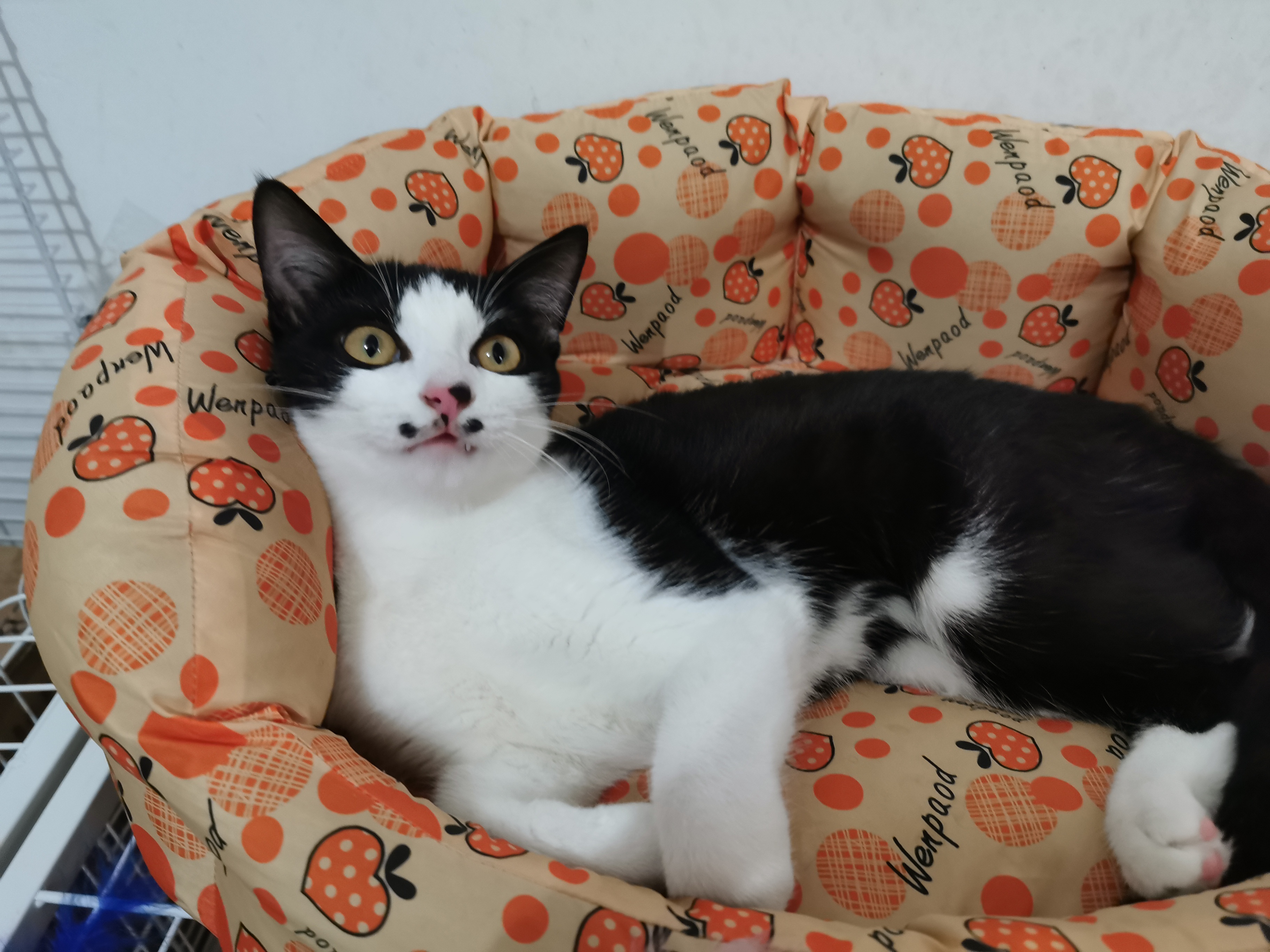 下雨天了我好想你歌词,下雨天了怎么办我好想你原版