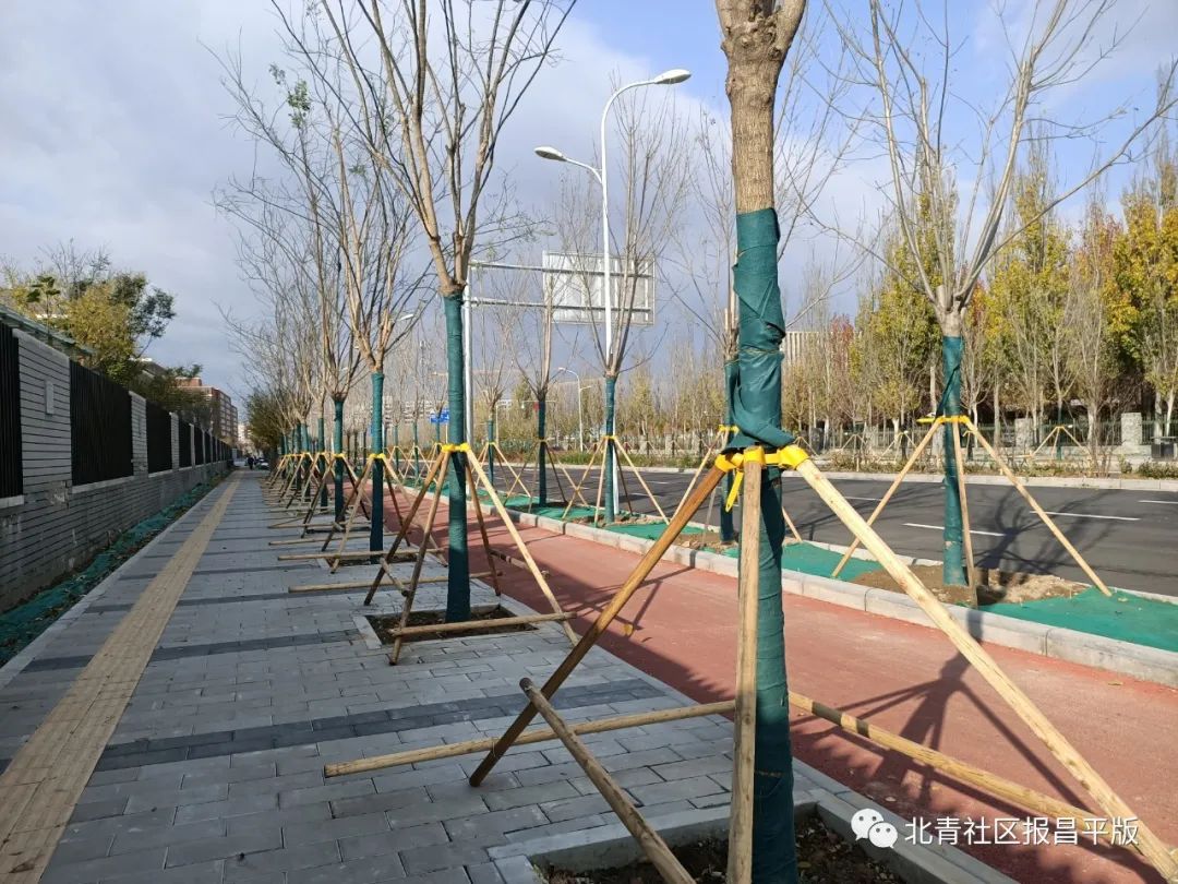 温暖、贴心、便利,初冬时节沙河高教园的新标签