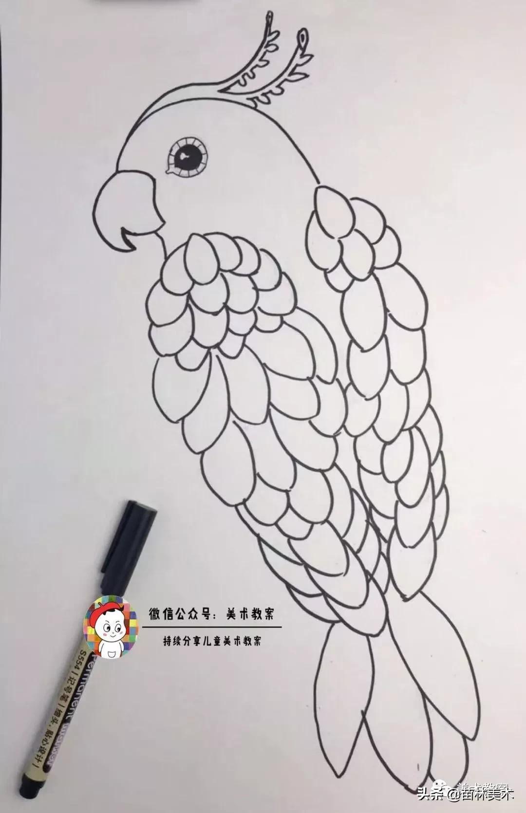 小鹦鹉学飞怎么画好看,鹦鹉有什么本领简笔画