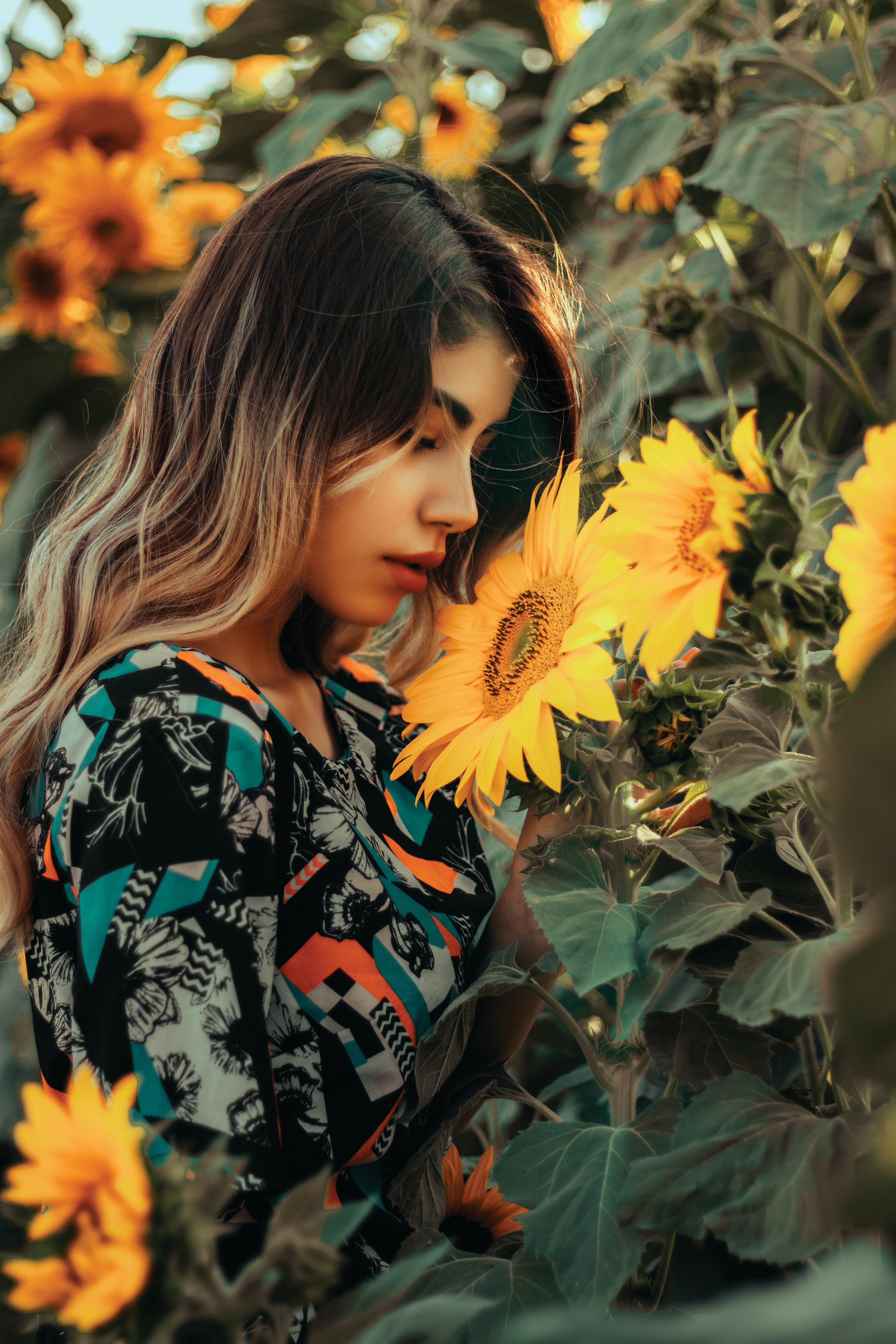 q帝个人资料,q帝是什么人物