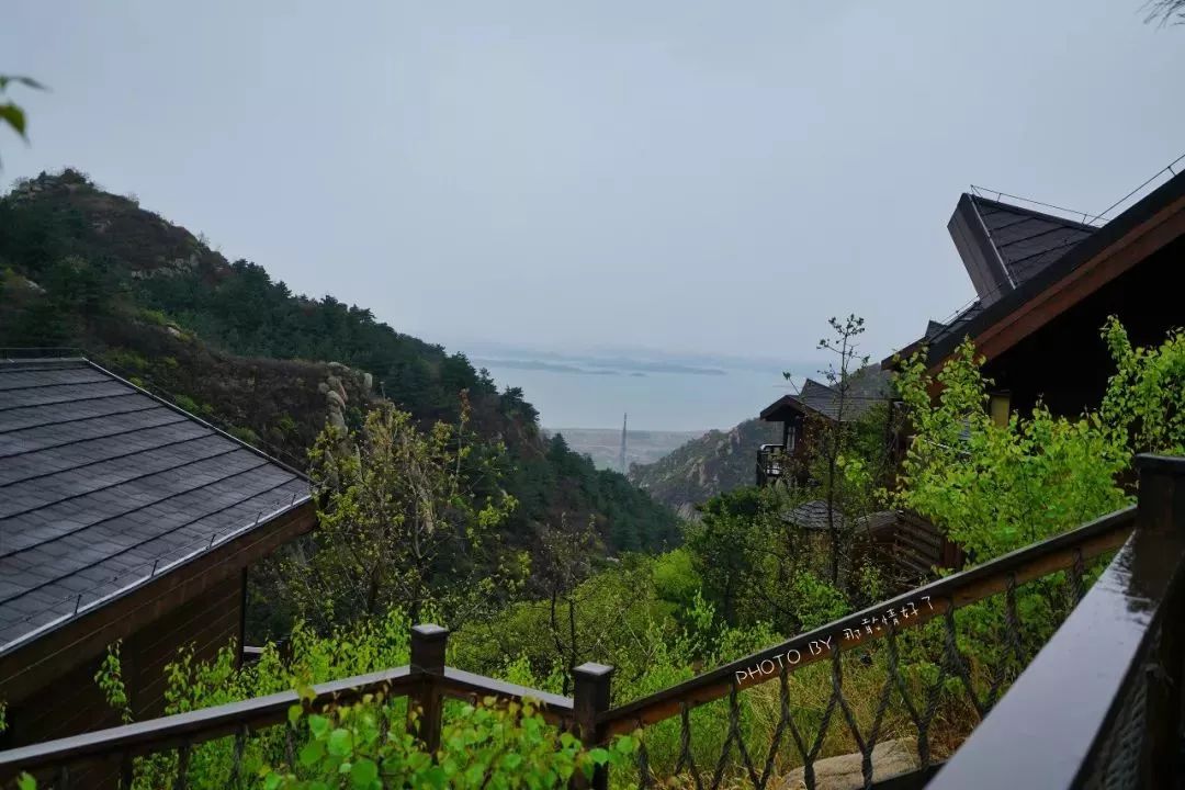 京郊童话树屋,京郊最美童话树屋