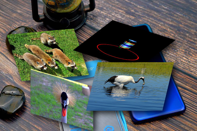 存储空间不足无法备份,存储空间不足无法开启内存扩展