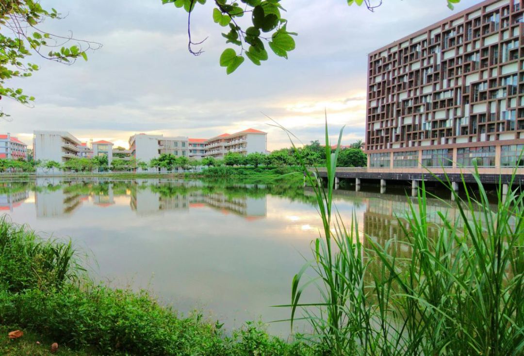 详解广东财经大学|附各专业录取分数，填报志愿必收藏