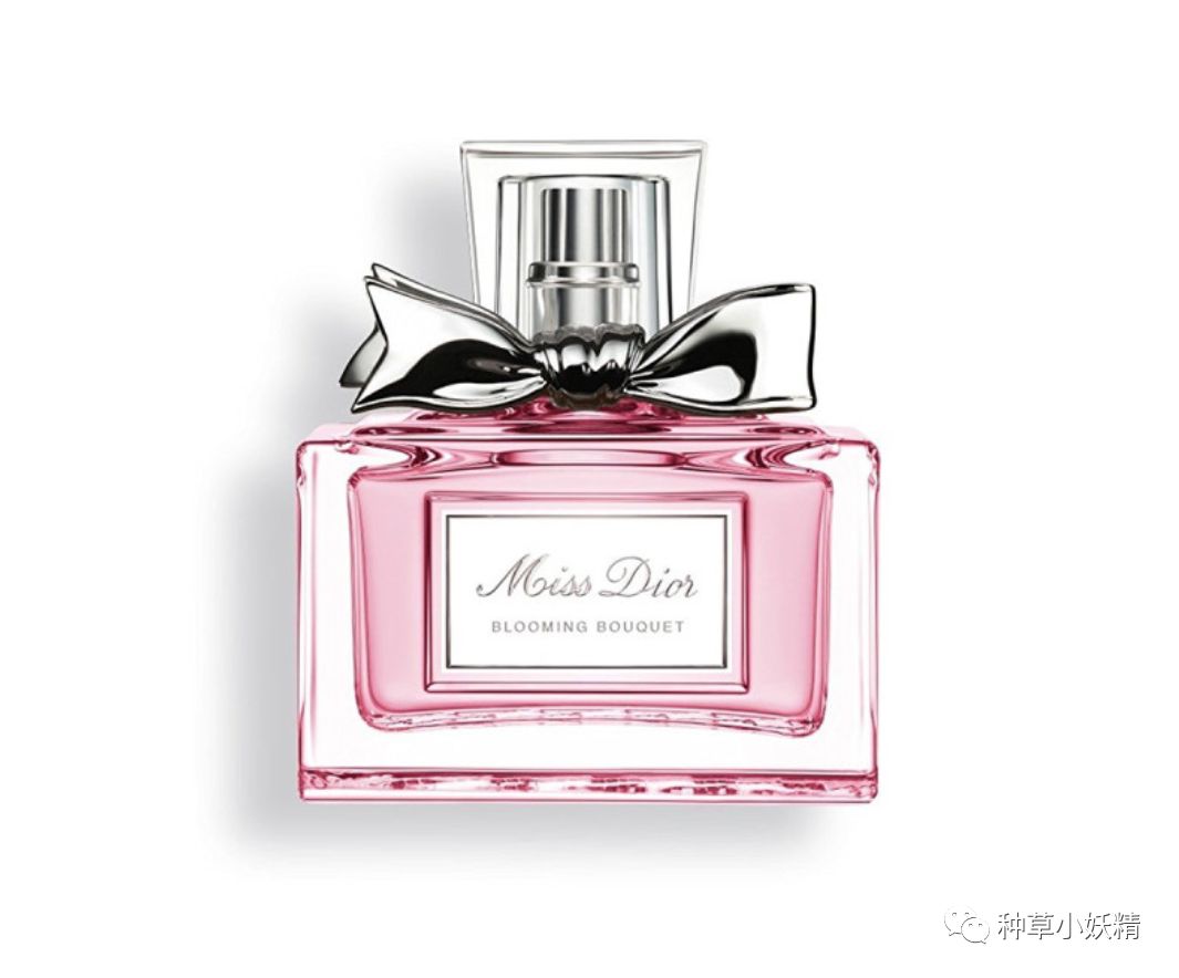 让人一闻心就很沉静的香水,muji明媚香水