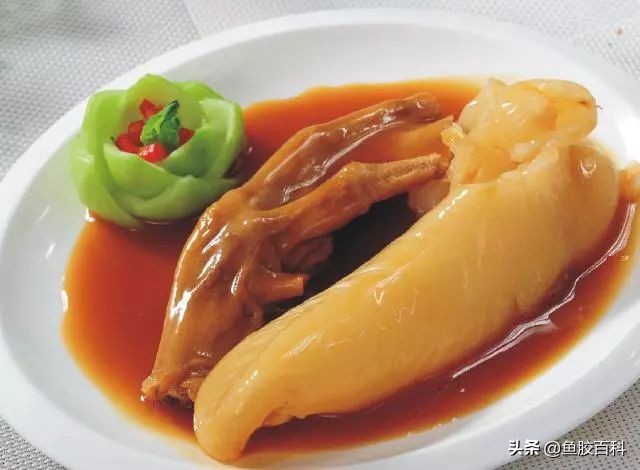 分享一款适合夏季的鱼胶做法,鱼胶怎么做不腥又好