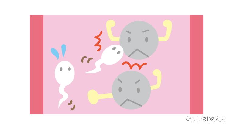 一篇文章让你秒懂,一篇文章让您读懂复刻表