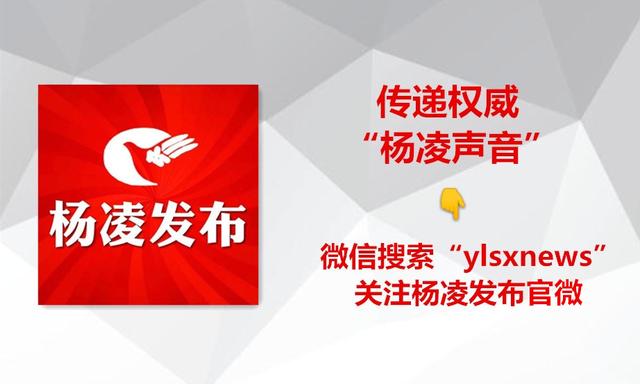 现在村卫生室正常营业吗,疫情期间村卫生室还能营业吗