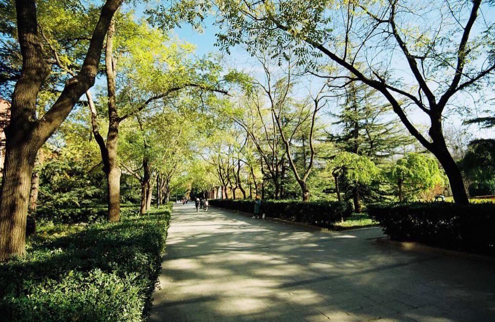 摄影入门推荐胶片,拍摄胶片的六大禁忌