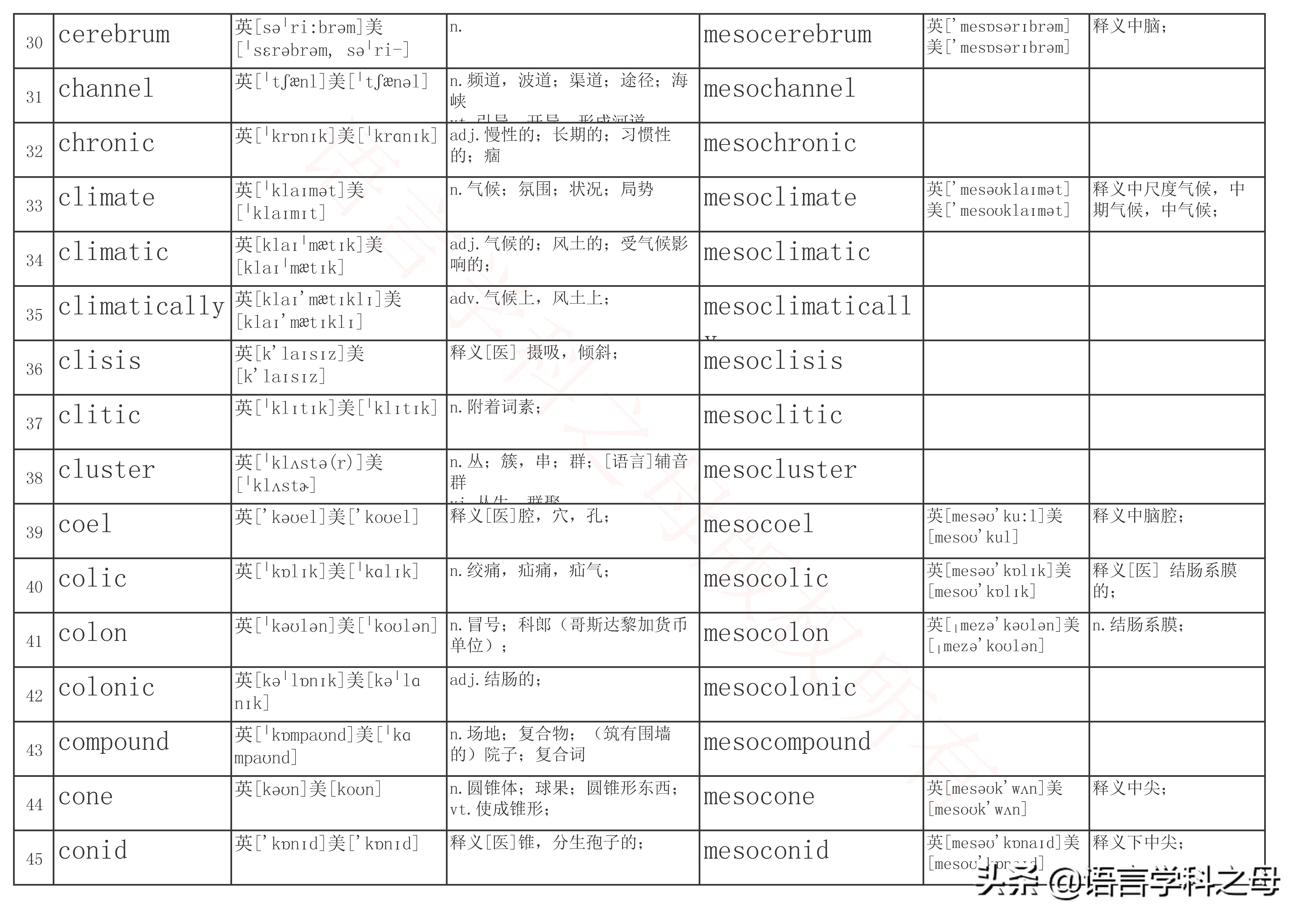 mid为前缀常见的单词,mid为前缀的单词有哪些