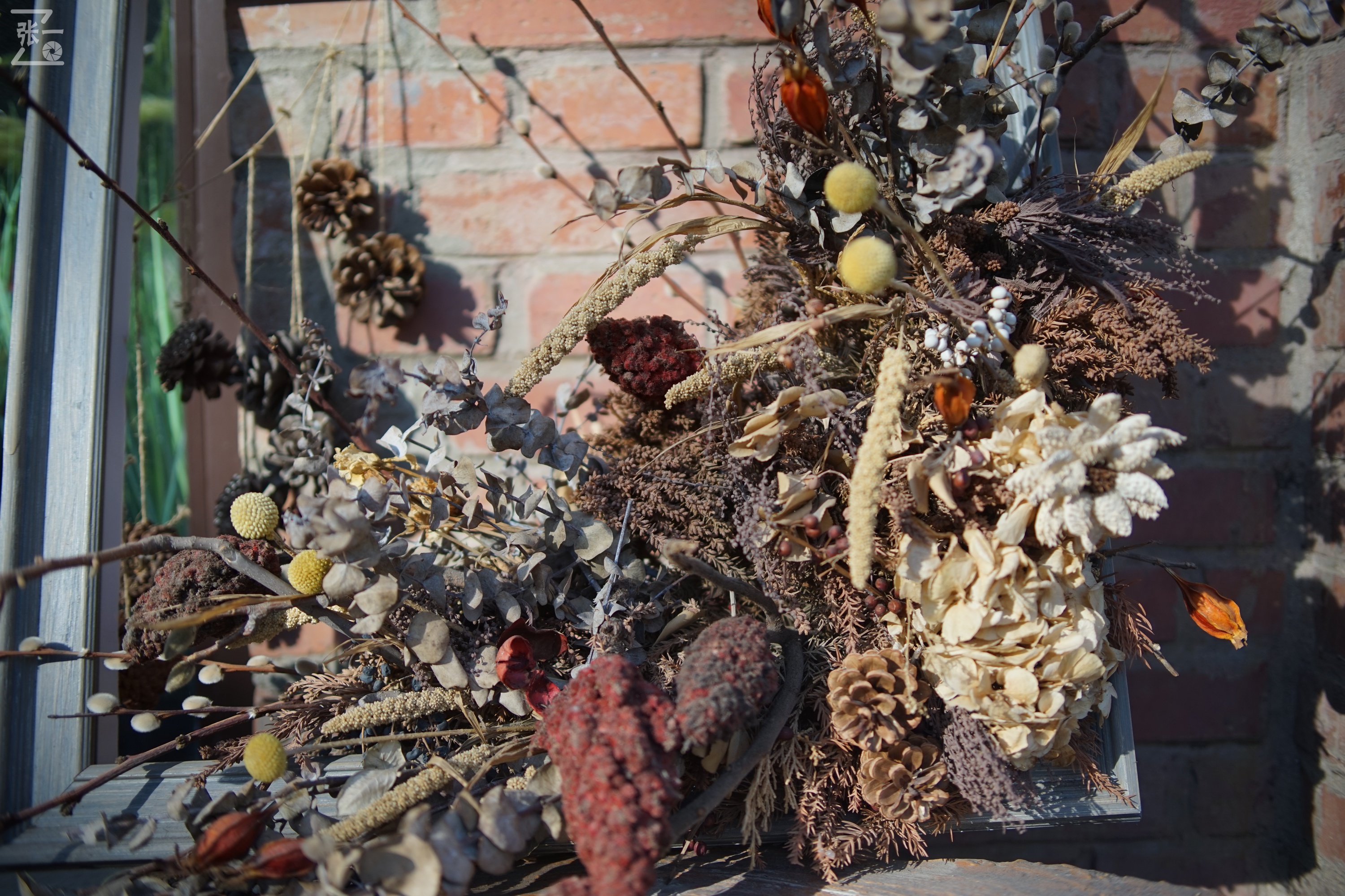 国产中一光学35/2镜头+索尼微单实拍北京798艺术区