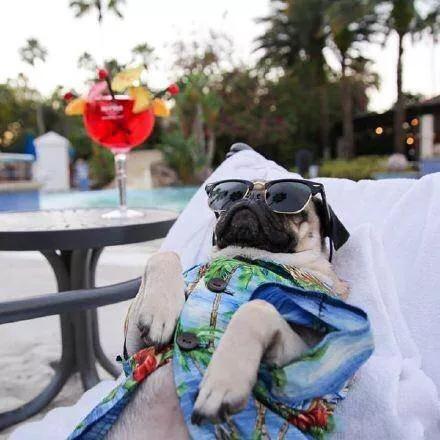 化妆品神奇效果,化妆品的效果真的假的