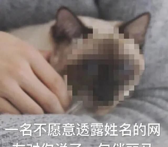 一波又一波的疫情,疫情期间发钱的人