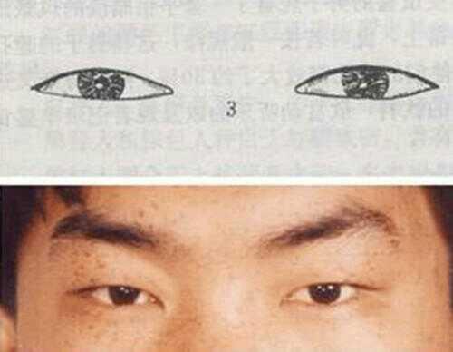 对照下你是哪种漂亮的眼型,如何区分自己的眼型
