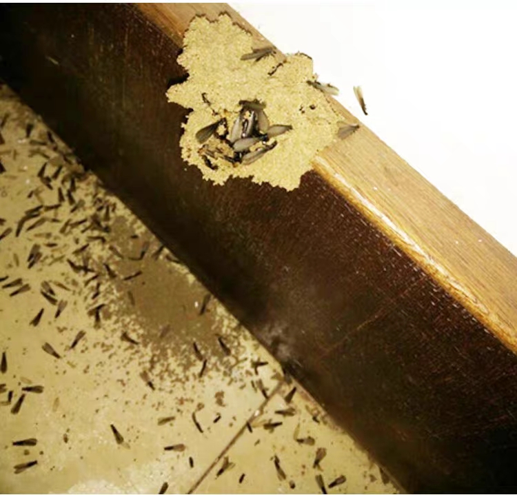 锐创环保解决方案,湛江市锐创环保技术