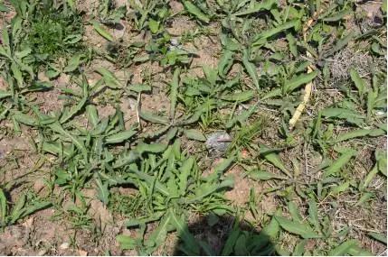 辽宁哪有世外桃源,辽宁很少有人知道的世外桃源