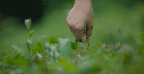 隐藏款改善黑头洗面奶,用完不长黑头和扩大毛孔的洗面奶