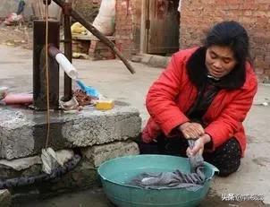 乡村记忆|院子里的那座压井