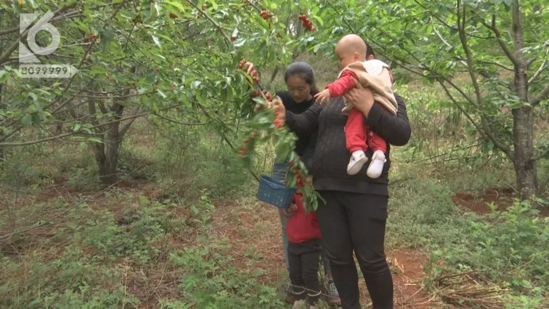 昆明周边适合三四天玩的景点,五一昆明周边自驾游
