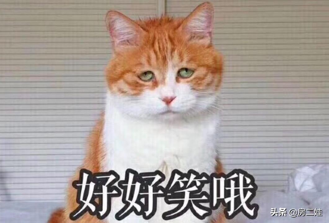 低于市场价把房子卖了,低于市场价500把小房子卖了