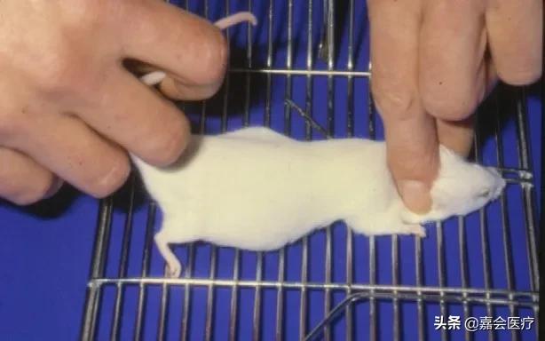 她被判处绞刑，吊了半小时却没死，这个医生说出了真相