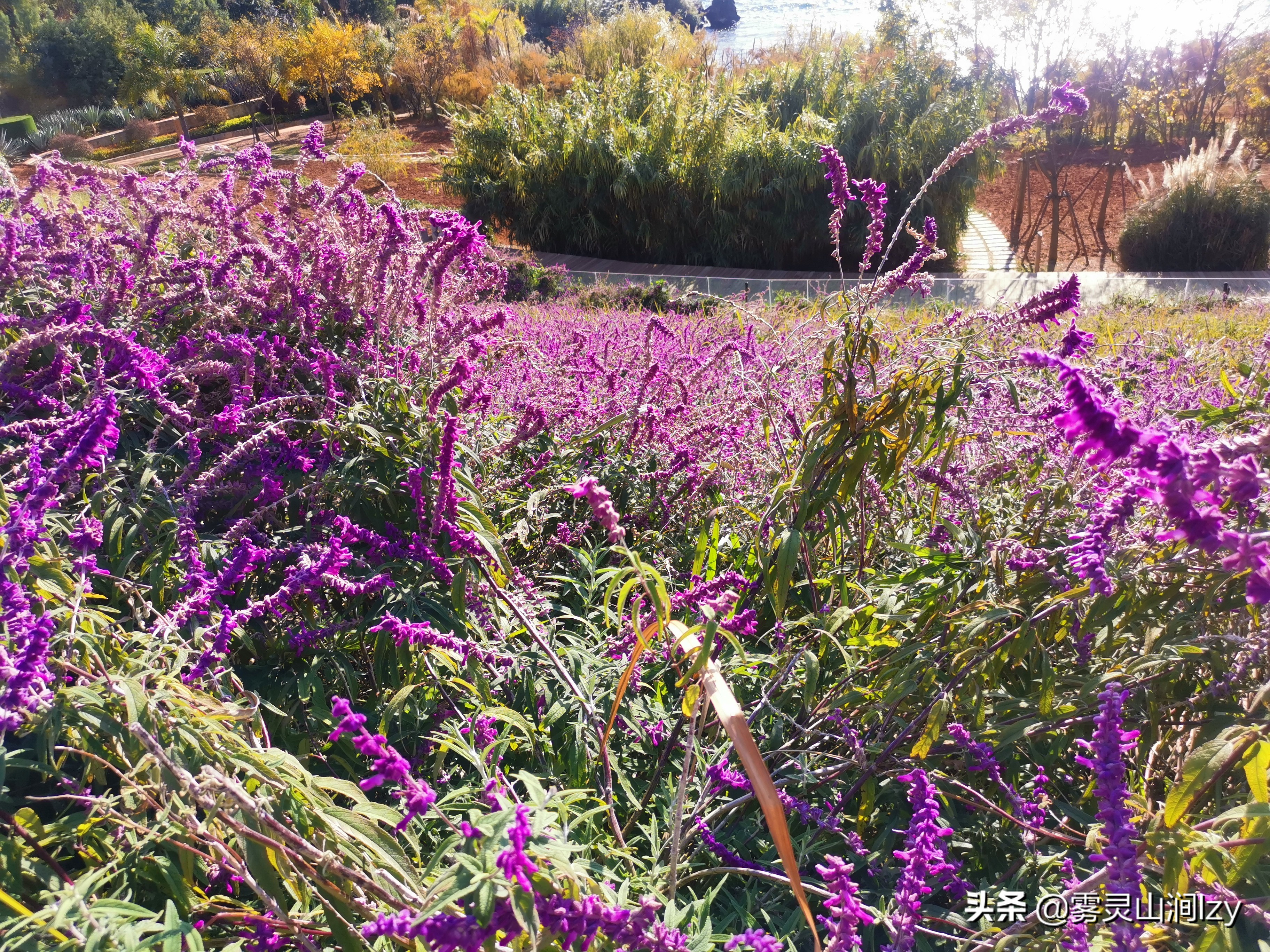 全国希尔顿一览,全中国度假酒店